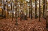 2272 Little Bend Road - Photo 13