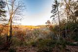 2272 Little Bend Road - Photo 9