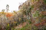 2272 Little Bend Road - Photo 10