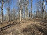 0 Hester Beasley Rd Lot 2 - Photo 13