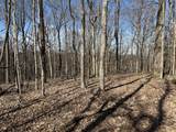 0 Hester Beasley Rd Lot 2 - Photo 19