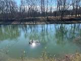 136 River Run Estates/Cravens Rd - Photo 9