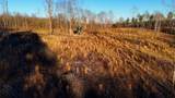 275 Preston Baggett Rd - Photo 37