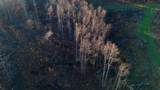 275 Preston Baggett Rd - Photo 46