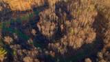 275 Preston Baggett Rd - Photo 47