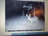 275 Preston Baggett Rd - Photo 95
