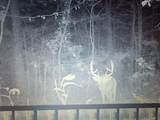 275 Preston Baggett Rd - Photo 96