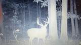 275 Preston Baggett Rd - Photo 98