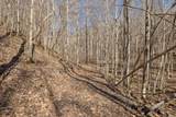 0 Hurricane Creek Road - Photo 14