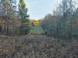 0 Hines Gin Road - Photo 11