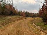 0 Hines Gin Road - Photo 4