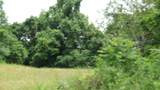 0 Livingston Hwy - Photo 57