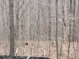 0 Bobcat Lane - Photo 11