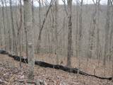 0 Bobcat Lane - Photo 6