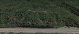 0 Savannah Hwy - Photo 9