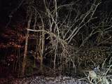 0 Pollard Cemetery Road - Photo 4