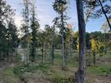 0 Jones Creek Rd - Photo 21