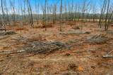 0 Whitaker Rd - Photo 11
