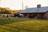 5297 Old Harding Rd - Photo 80