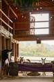 5297 Old Harding Rd - Photo 88