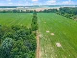4302 Fykes Grove Rd - Photo 3