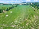 4302 Fykes Grove Rd - Photo 4