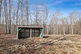 30195 White Oak Rd - Photo 46