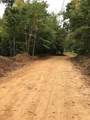 2 Olde Tennessee Trail - Photo 3