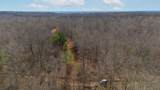 2 Olde Tennessee Trail - Photo 4
