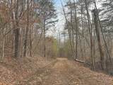 1133 Macedonia Martin Gap Rd - Photo 12