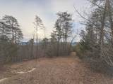 1133 Macedonia Martin Gap Rd - Photo 5