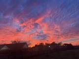 1761 Jameson Dr - Photo 45