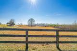 1825 Powell School Rd - Photo 79