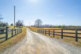 1825 Powell School Rd - Photo 80