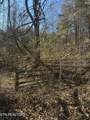 0 Molly Hollow Rd - Photo 1