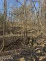 0 Molly Hollow Rd - Photo 10