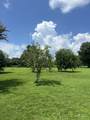 2629 Highway 43 - Photo 13