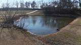 1706 Benders Ferry Rd - Photo 53