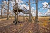2560 Wildcat Rd - Photo 20