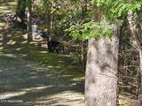 0 Lot 10 Stepping Stone Drive - Photo 34