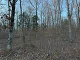 3900 Roan Creek Rd - Photo 12