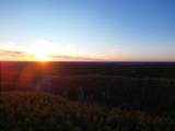 3900 Roan Creek Rd - Photo 18