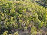 3900 Roan Creek Rd - Photo 36