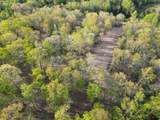 3900 Roan Creek Rd - Photo 38
