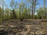 3900 Roan Creek Rd - Photo 5