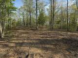 3900 Roan Creek Rd - Photo 6
