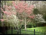 428 Landings Way - Photo 36