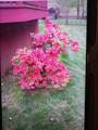 428 Landings Way - Photo 39