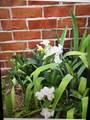 428 Landings Way - Photo 41