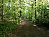 3975 Jarman Hollow Rd - Photo 84